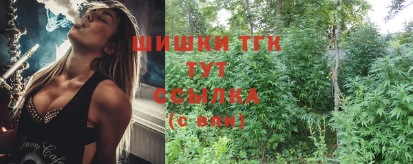 первитин Заводоуковск