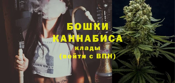 первитин Заводоуковск