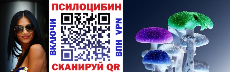 Псилоцибиновые грибы мицелий  Купить  Ильский 